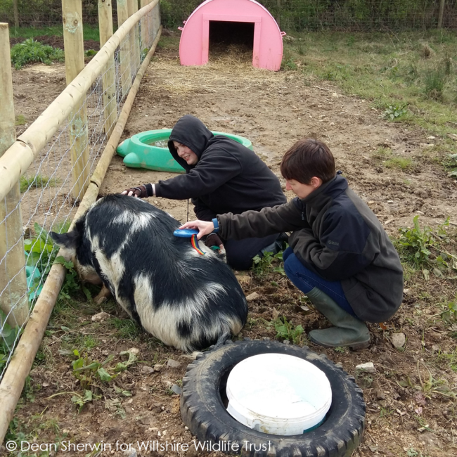 Wiltshire Wildlife Trust mental health page