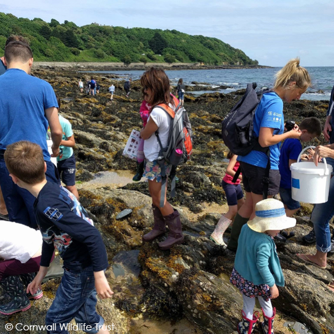 Cornwall Wildlife Trust coasts page