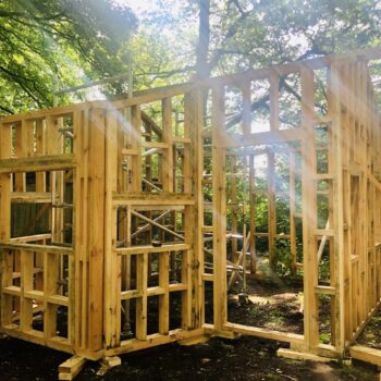 Treehouse_ Treehouse_