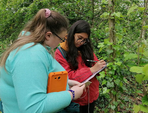 One step closer to our goal of more time learning in and about nature