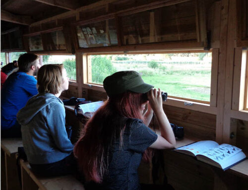 Outdoor Classroom Day